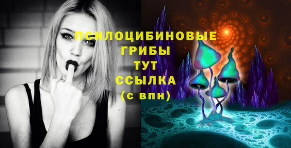 герыч Арсеньев