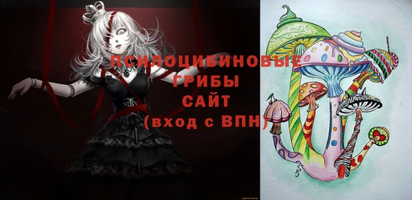 герыч Арсеньев